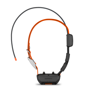 Alpha TT 25 Dog Collar