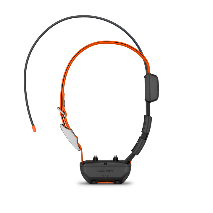 Alpha 200 handheld + Alpha TT25 collar